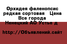 Орхидея фаленопсис редкая сортовая › Цена ­ 800 - Все города  »    . Ненецкий АО,Устье д.